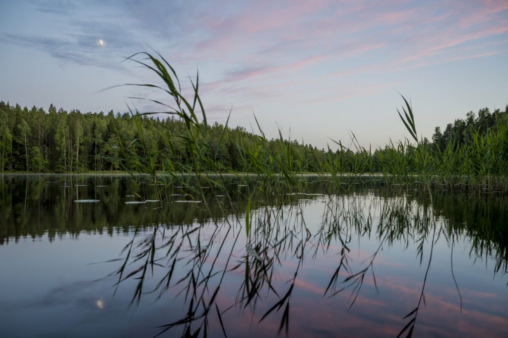 ugodno trajekt Skandinavija road trip Punkaharju potovanje poceni Nordijske države narodni parki Kolovesi National Park Koli National Park kampiranje Helsinki Finski zaliv Finska Evropa Baltsko morje 