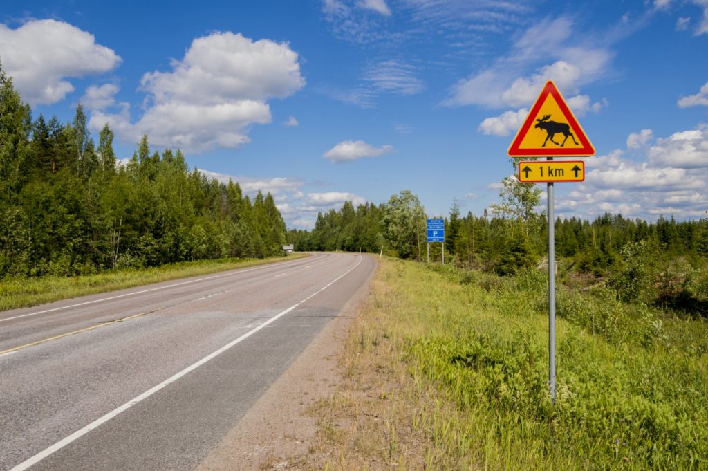 ugodno trajekt Skandinavija road trip Punkaharju potovanje poceni Nordijske države narodni parki Kolovesi National Park Koli National Park kampiranje Helsinki Finski zaliv Finska Evropa Baltsko morje 