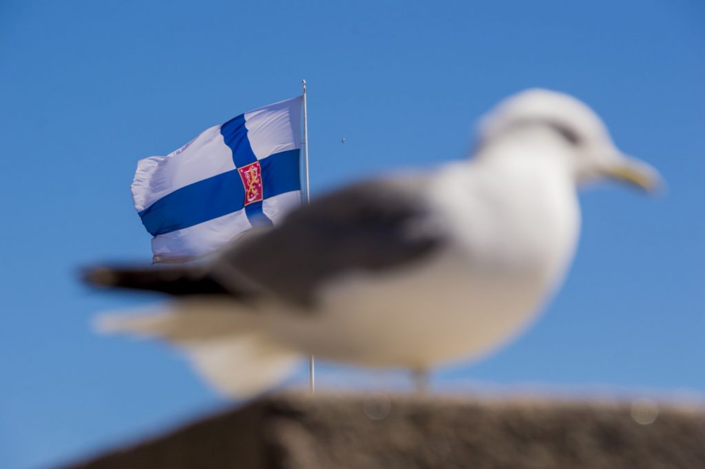 ugodno trajekt Skandinavija road trip Punkaharju potovanje poceni Nordijske države narodni parki Kolovesi National Park Koli National Park kampiranje Helsinki Finski zaliv Finska Evropa Baltsko morje 