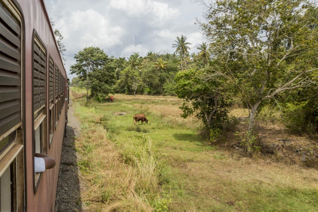 vlak ugodno tuk tuk Šrilanka Sri Lanka SIM kartica priporočila potovanje poceni nasveti nastanitve mobilni internet javni prevoz informacije Azija avtobus 